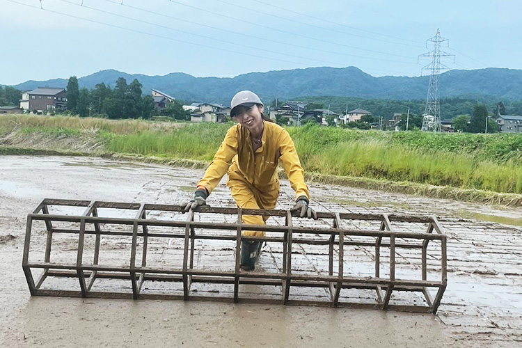 笹団子でささやかな地域貢献活動