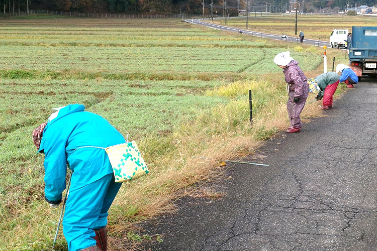 地域に貢献 環境美化