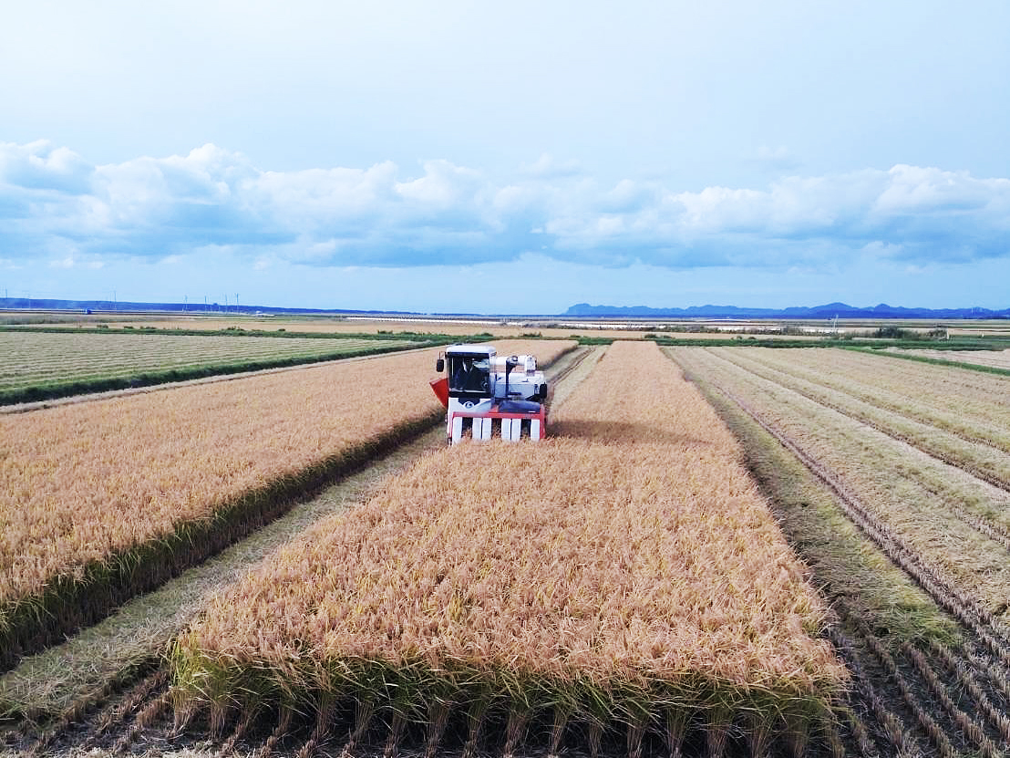 地元に愛される女性部活動と新たな仲間づくり
