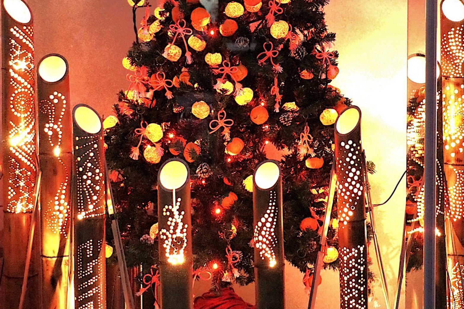 「継続は力なり」みかんの光を灯し続けて20年。。。