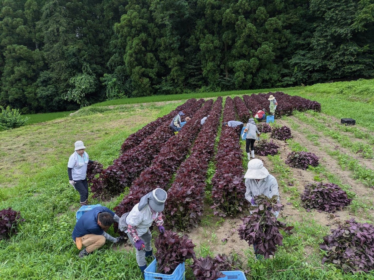 楽しく学んで　食べて　笑って