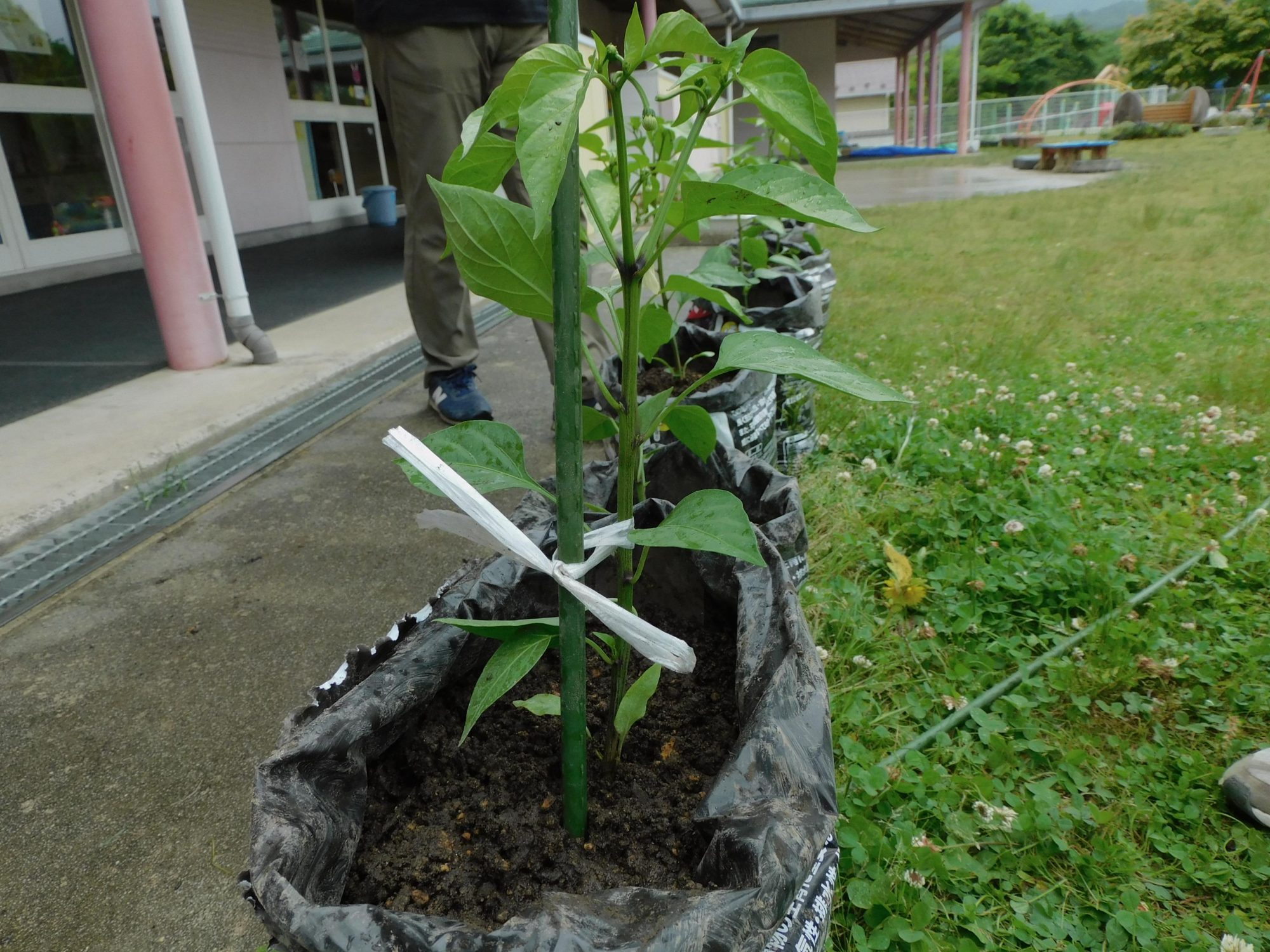 温故知新を胸に