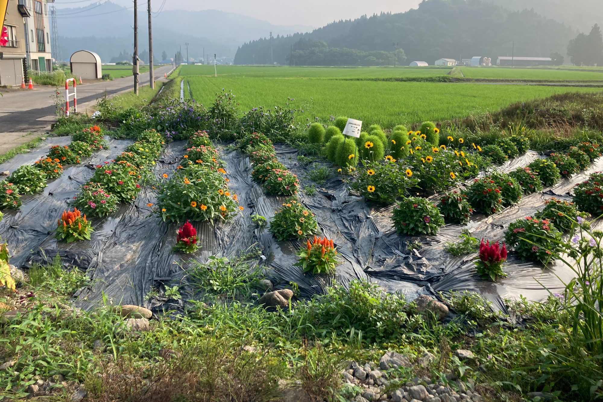 みんなの『やりたい』を実現して地域を元気に！